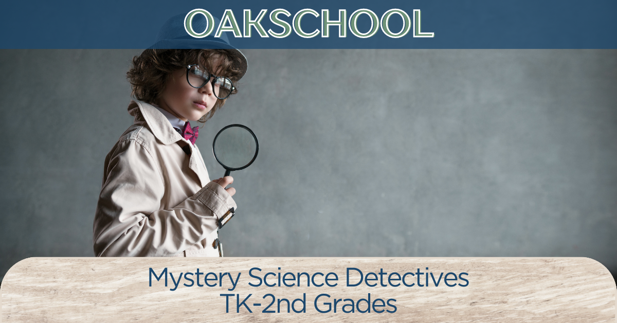 Mystery science detectives quarter 4 sage oak charter schools